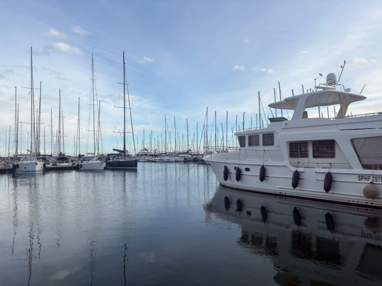 photo 2026 04 08 11 14 14 7